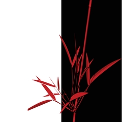 vzory ornamenty