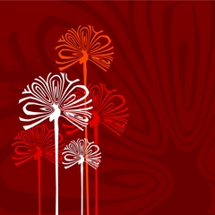 vzory ornamenty