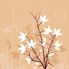 vzory ornamenty