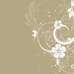 vzory ornamenty